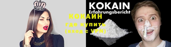 стафф Армянск