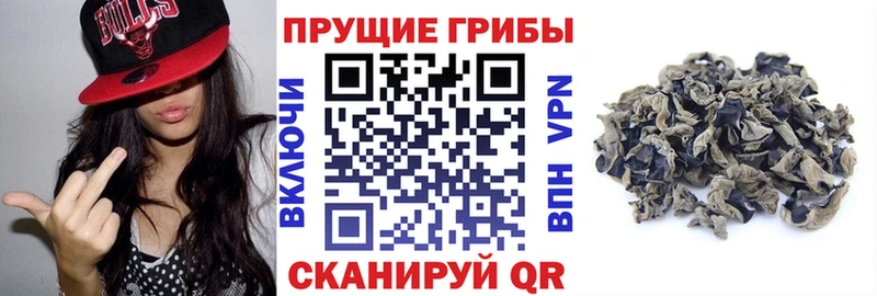 Галлюциногенные грибы MAGIC MUSHROOMS  Нефтекумск 