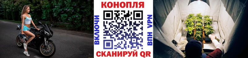 Шишки марихуана AK-47  что такое   Нефтекумск 